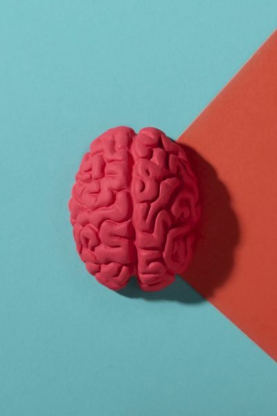 Nação dopamina – Anna Lembke